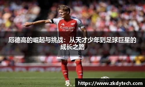 完美体育登录入口