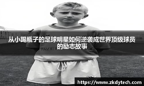 完美体育登录入口